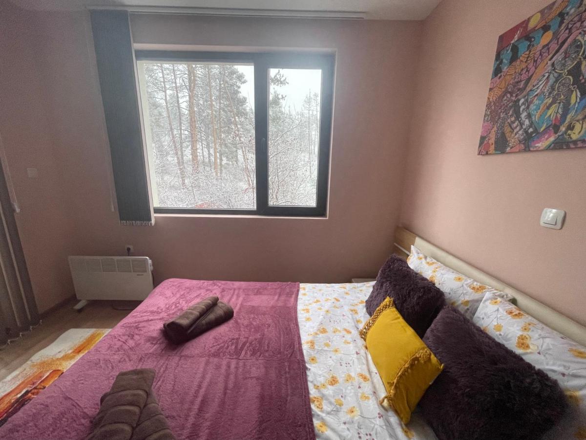 Nikol 2 Deluxe Apartment Velingrad Exterior foto